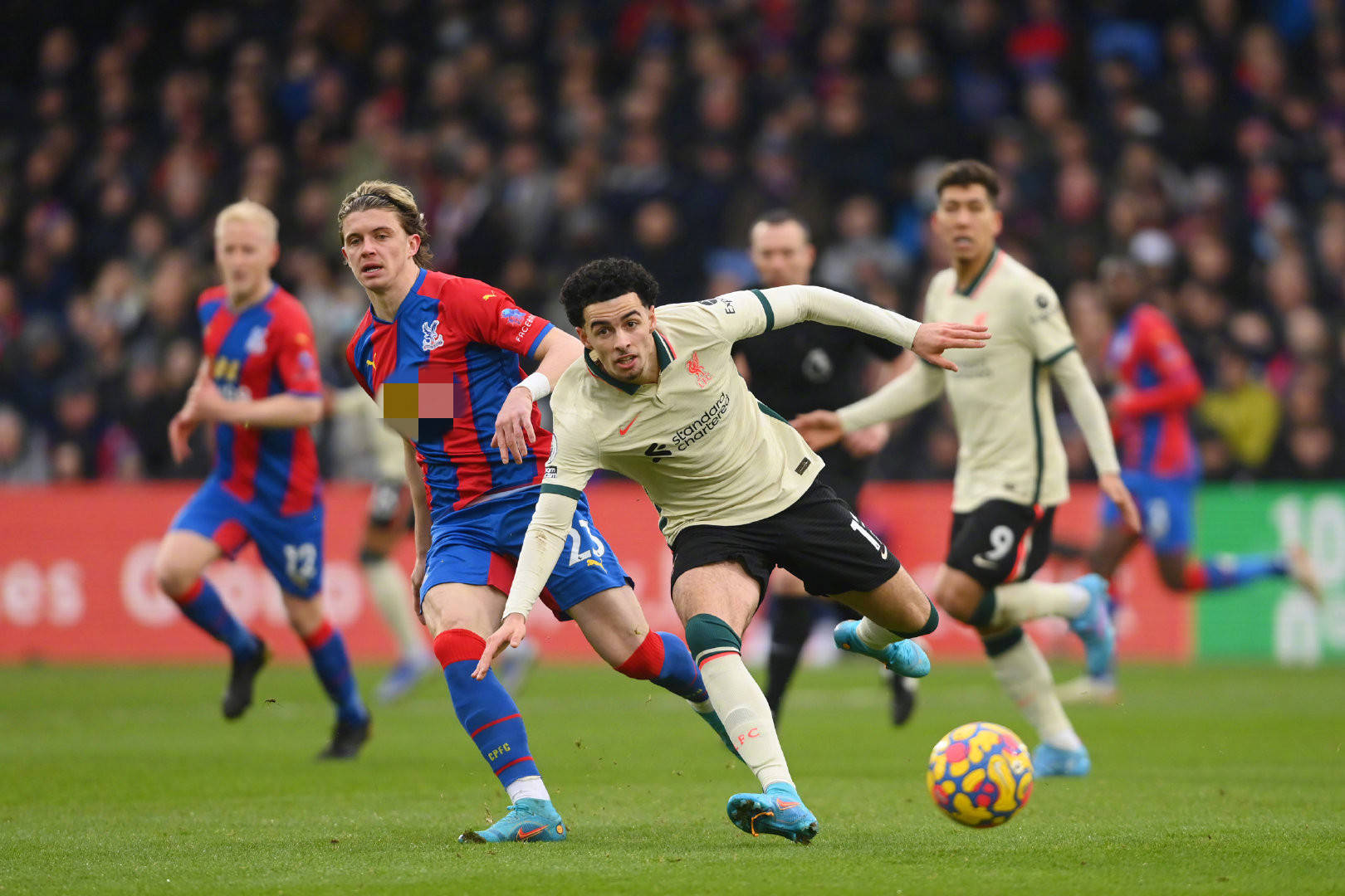 这为他的完 这为他的完